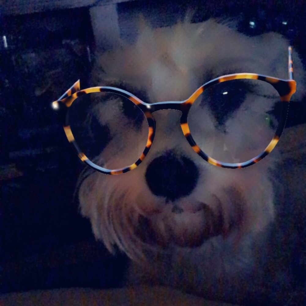 Meet your Posher, Heather